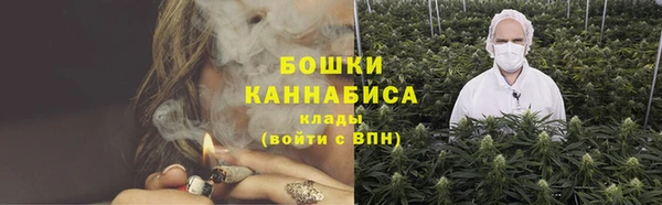 соль ск Инсар