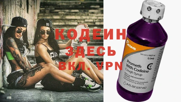 соль ск Инсар