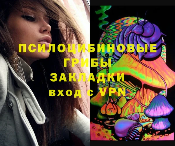 герыч Зеленодольск